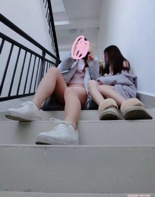 后宫露营樱花
